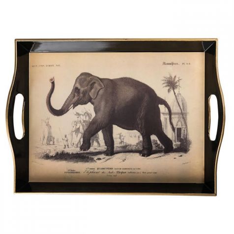 The Elephant TRAY