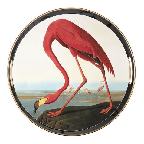 The Round Audubon's Flamingo TRAY